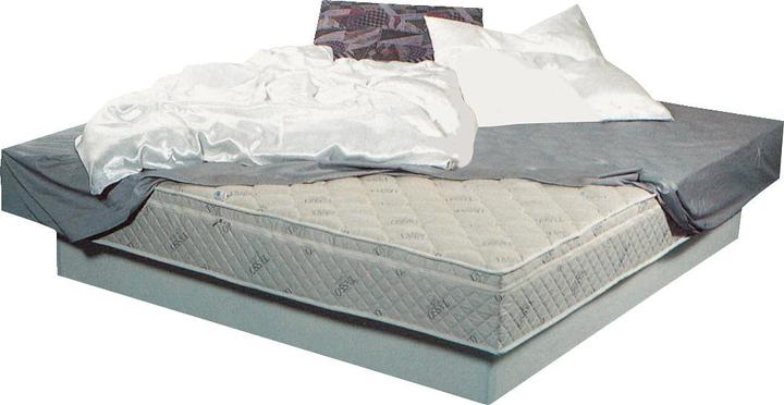 Produktbild Tasso Original -Wasserbett (100 x 220 cm)