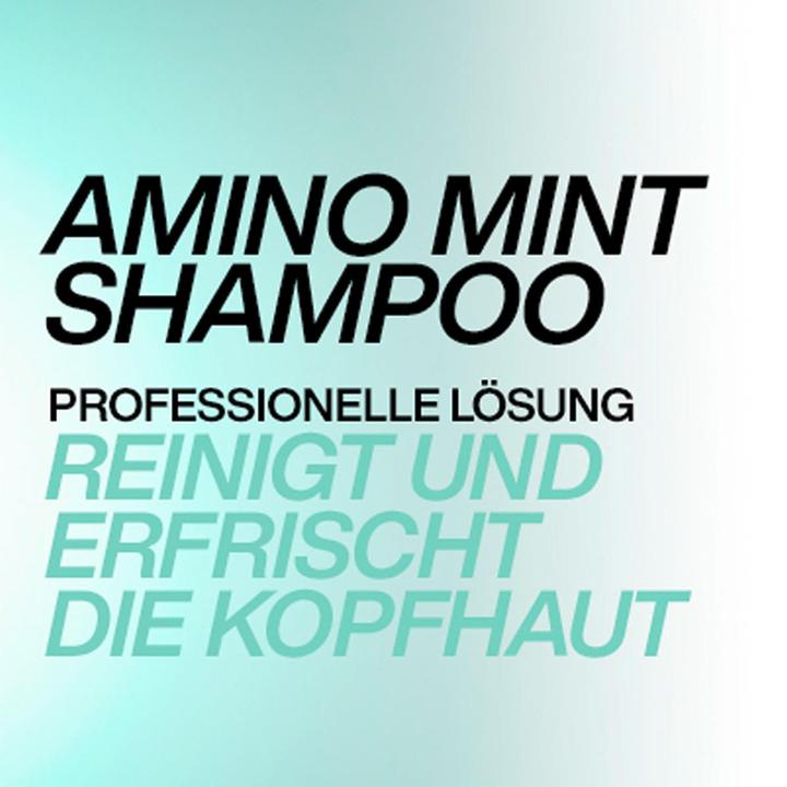 Actual product image Redken Amino Mint (300 ml, Liquid shampoo)