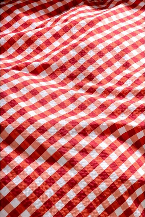 Actual product image Night Fashion Check red/white (Duvet cover, 200 x 210 cm)