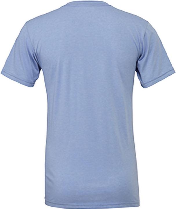 Actual product image Bella Canvas Canvas jersey T-shirt short sleeve (S)