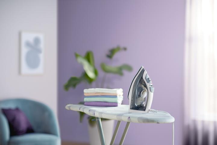 Actual product image Philips GC1751/80 (2000 W, 100 g/min)