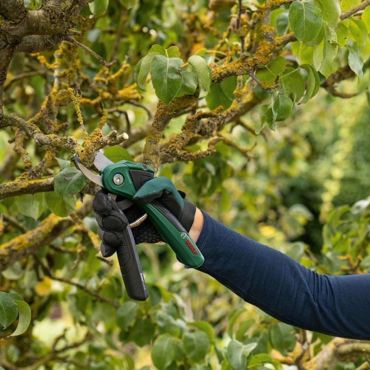 Actual product image Bosch Home & Garden EasyPrune