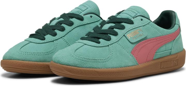 Puma Palermo