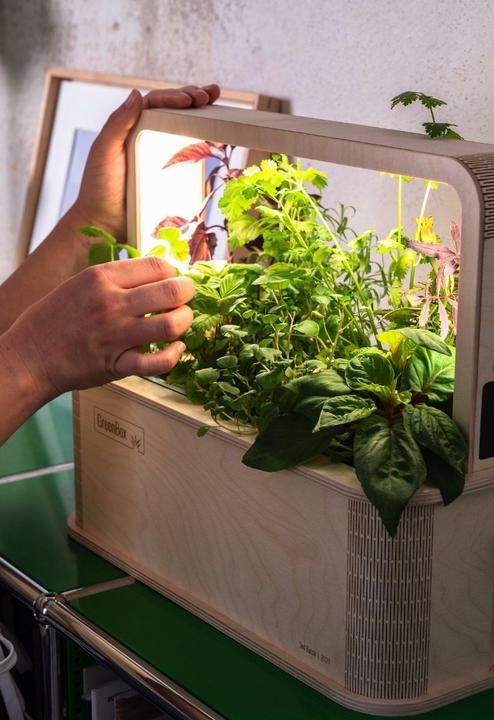 Image du produit BerlinGreen GreenBox Great Variety Bundle