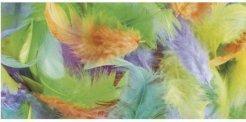 Actual product image Rayher Feather Mix 3-10cm 10g