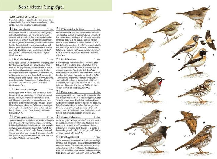Immagine prodotto Kosmos Was fliegt denn da? Das Original (Tedesco, Paschal Dougalis, Peter H. Barthel, 2024)