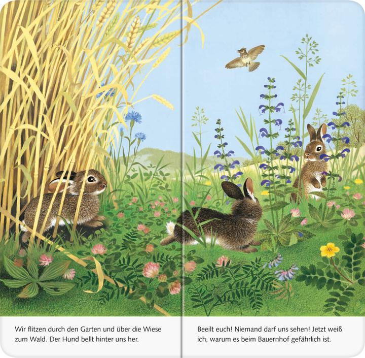Produktbild Ravensburger Ich bin das kleine Kaninchen (Deutsch, Gerlinde Wiencirz, Gerda Muller, 2021)