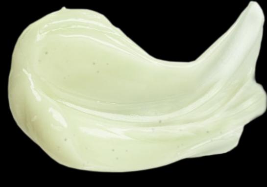 Produktbild Mettler1929 Detox klärendes Shampoo für fettiges Haar fettiges Haar (200 ml, Flüssiges Shampoo)