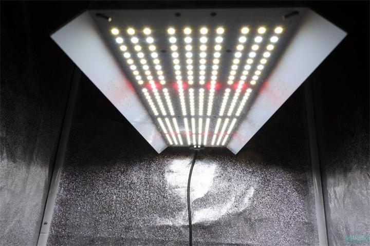Immagine prodotto HortiOne Lampada LED 420 (LED)
