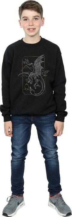 Produktbild Dragon Line Art Sweatshirt Jungen (140, 146)