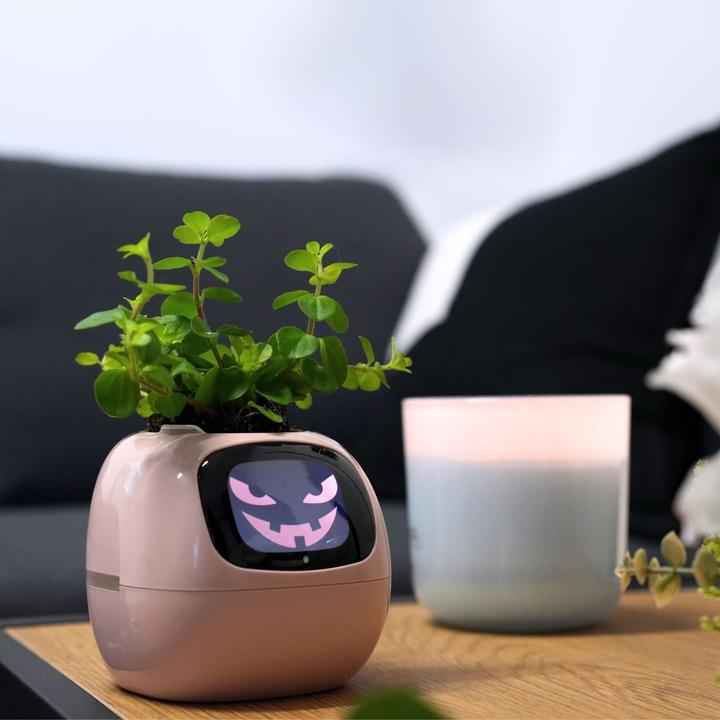 Actual product image Hermex Smart flower pot (11 cm)