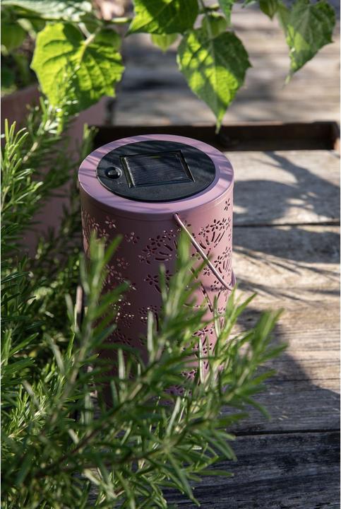 Produktbild STT Solar Flowery Lantern