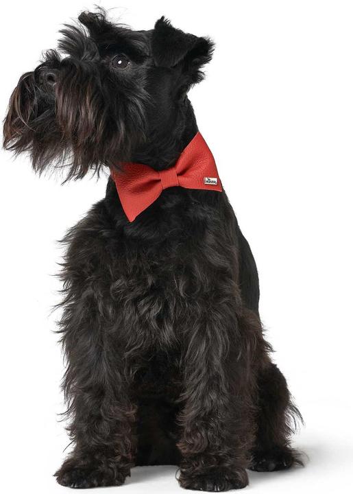 Image du produit Hunter Accessoires pour colliers Noeud papillon Paris, rouge (Chien, Général)