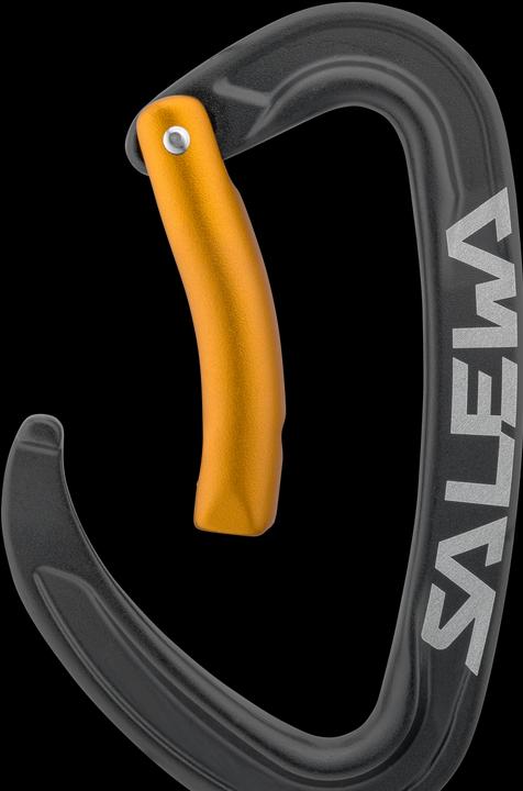Image du produit Salewa Ortles Bent Carabiner