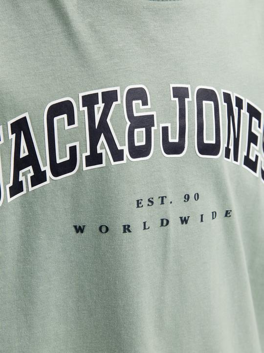 Image du produit Jack & Jones Jjecaleb Varsity Tee Ss O-Neck Sn Mni (98)