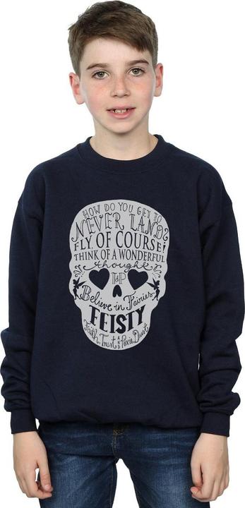 Actual product image Disney Boys Tinker Bell Skull Sweatshirt (140, 146)