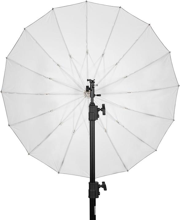 Image du produit Westcott Écran parabolique Apollo