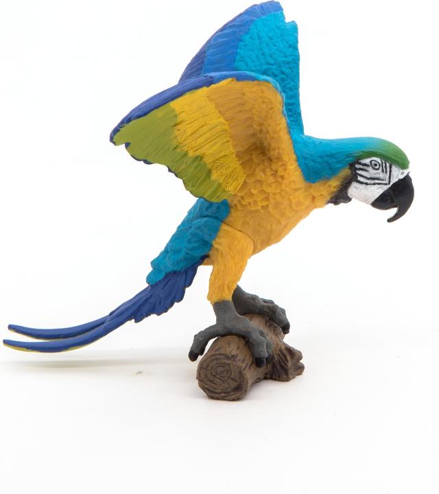 Papo Ara blu