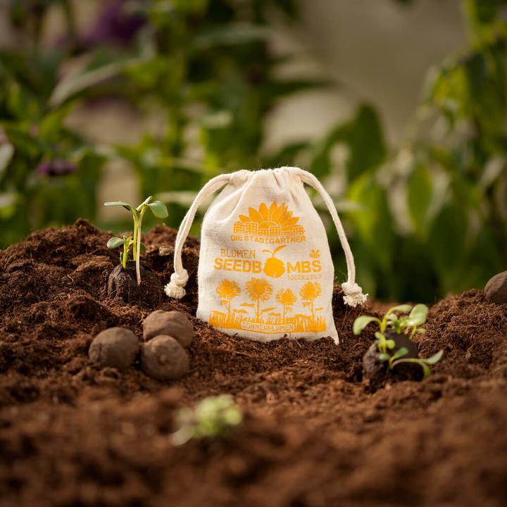 Produktbild Die Stadtgärtner Samenbomben Sonnenblume (Samenbomben)