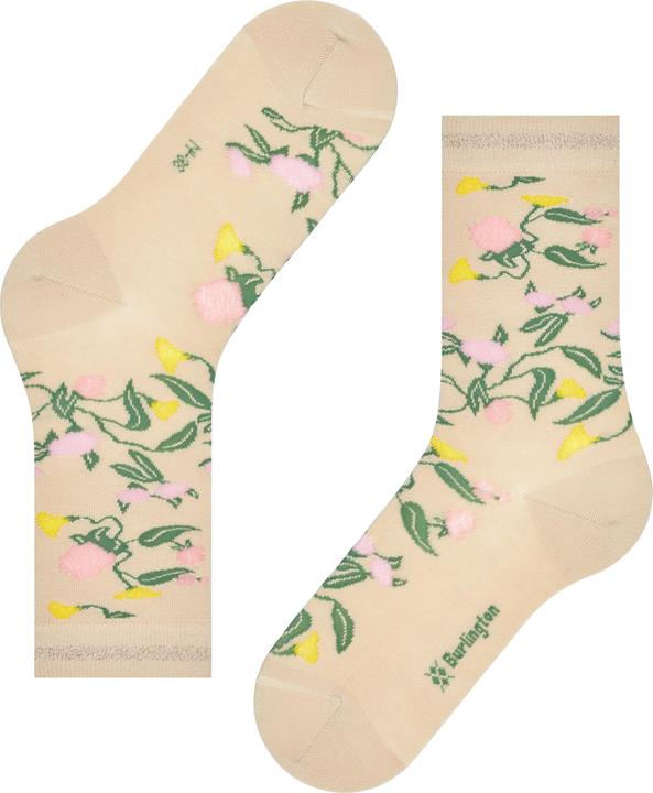 Immagine prodotto Burlington Botanica (36 - 41)