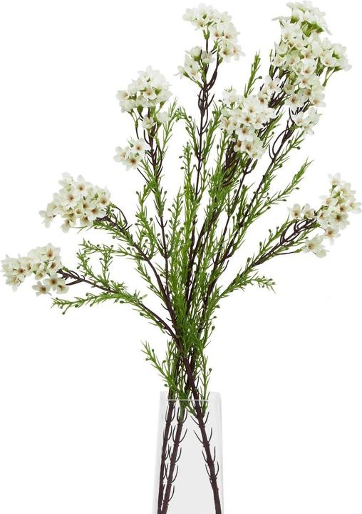 Immagine prodotto Hill Interiors The Natural Garden Collection Fiore di Cera Fiore Artificiale (80 cm)