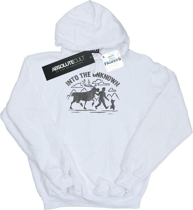 Image du produit Disney - Sweat à capuche FROZEN INTO THE UNKNOWN - Homme (L)