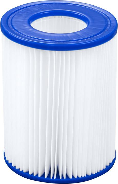 Actual product image Bestway filter cartridge