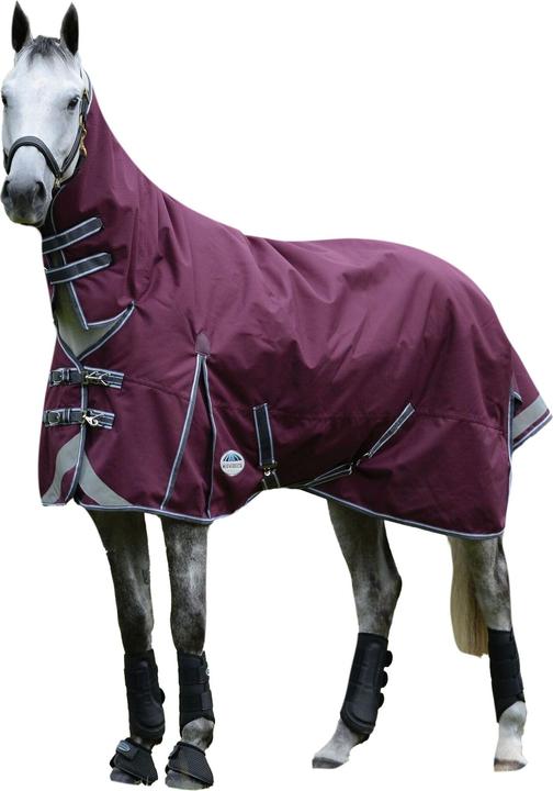 Immagine prodotto Weatherbeeta Comfitec Plus Dynamic Ii Collare Combo Tappeto per Cavalli (122 cm)