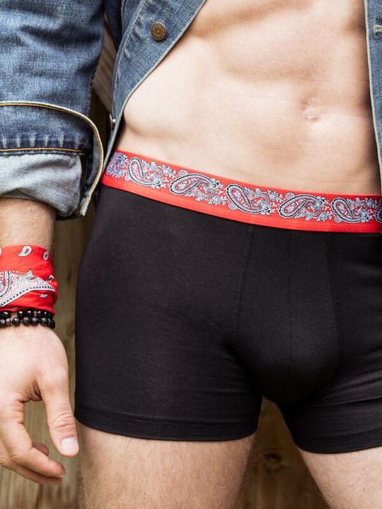 Actual product image ISA Bodywear Schwingerkollektion Pant (M)