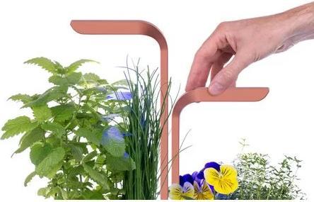 Actual product image Véritable Smart (18.50 cm)