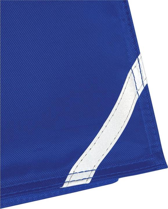 Vivace blu reale