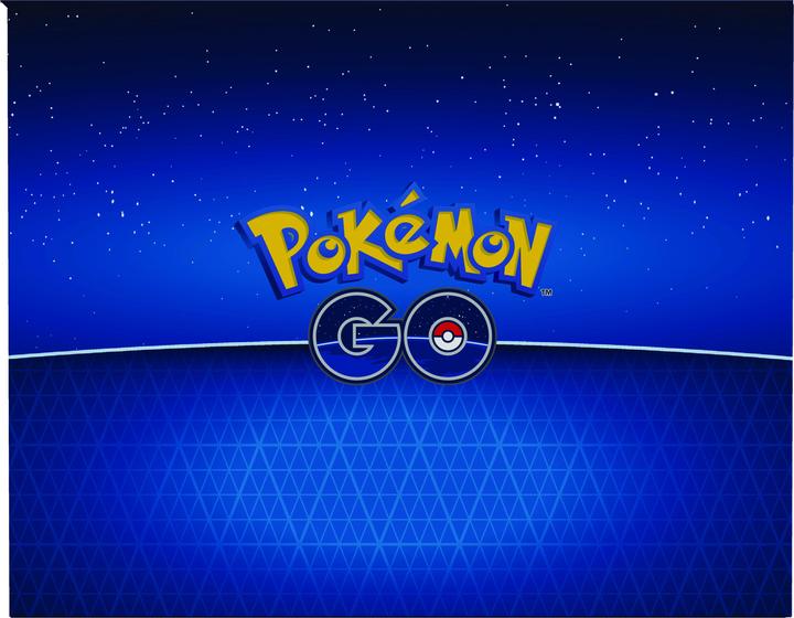 Actual product image Pokémon Pokémon GO (English, Box Set & Collection)