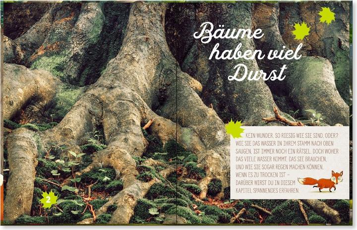 Actual product image Hörst du, wie die Bäume sprechen? Eine kleine Entdeckungsreise durch den Wald (German, Peter Wohlleben, 2017)