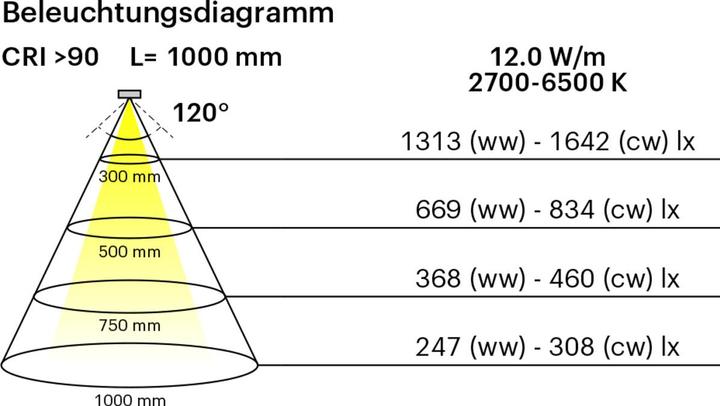 Produktbild L&S LED Bänder COB 12 / 24 V (Kaltweiss, 600 cm, Indoor)