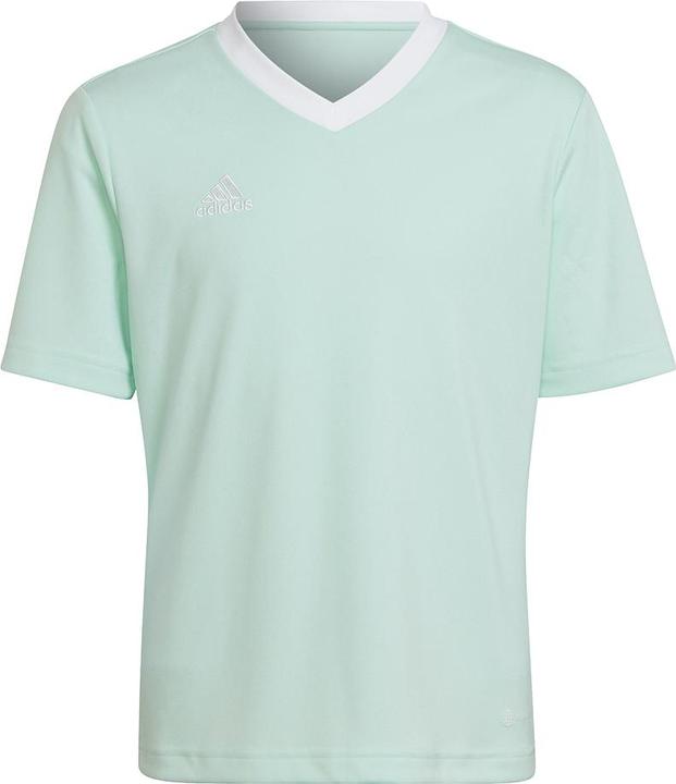 Actual product image adidas Entrada 22 Jersey (128)