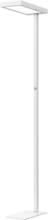 Immagine prodotto Hansa JASPIS - Lampada da terra a LED (5600 lm)