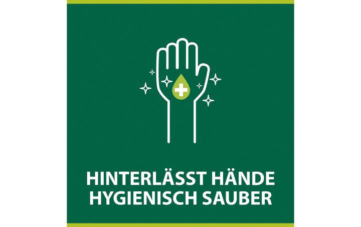 Actual product image Palmolive Hygiene Plus Family (Liquid soap, 500 ml)