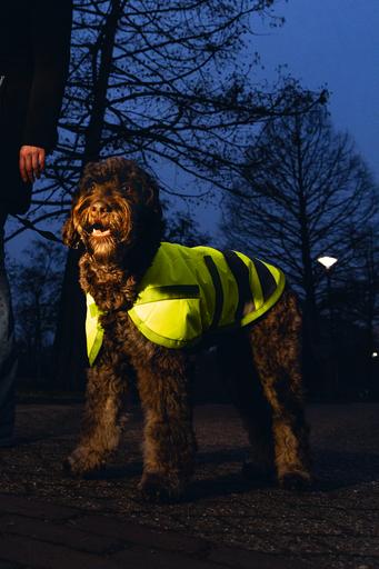 Produktbild Beeztees Bz Sg Hundemantel Teddie Refle (XXL, Hundemantel)