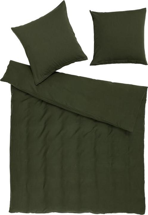 Oliva
