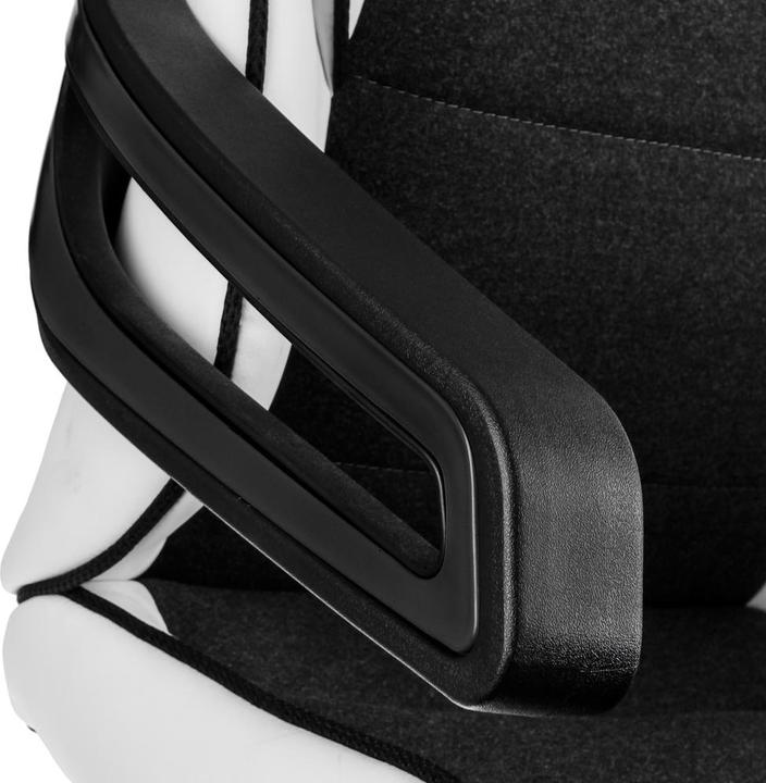 Actual product image Nitro Concepts E220 Evo