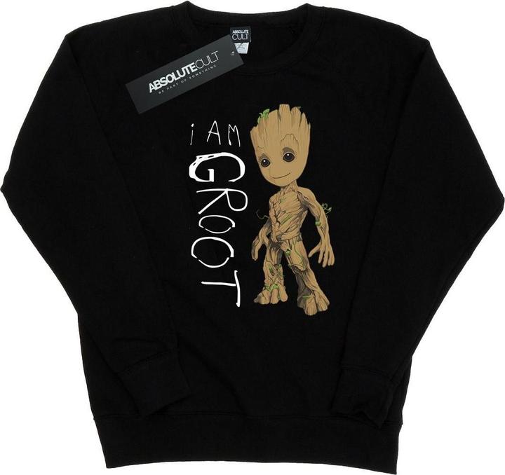 Immagine prodotto Guardians Of The Galaxy I Am Groot Scribbles Felpa Donna (M)
