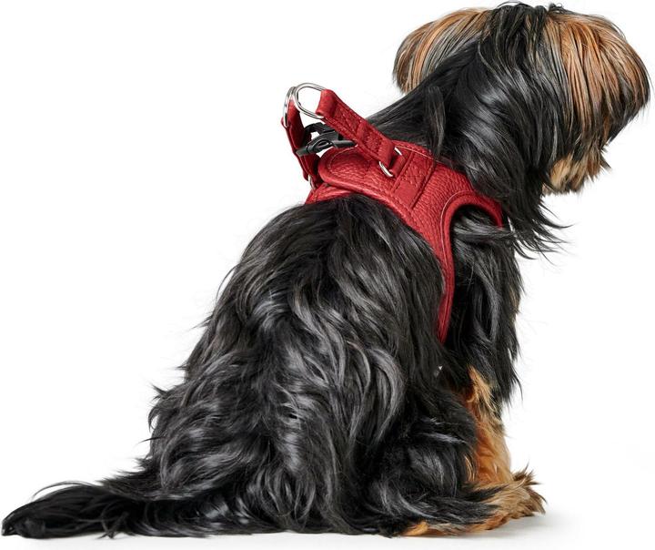 Actual product image Hunter Harness Love 37-40/XS-S, red/black, dog size: S, XS (Dog, Walks)