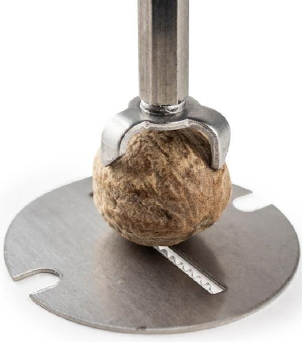 Image du produit Peugeot Daman (Noix de muscade)