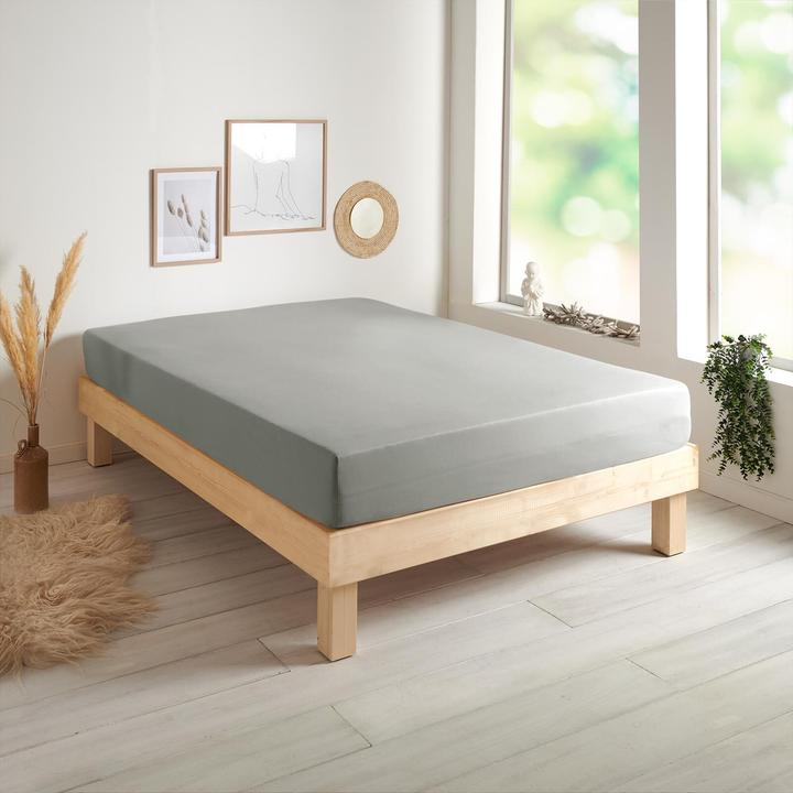 Immagine prodotto Traumschlaf Jersey-Elasthan Stretch (90 x 220 cm, 100 x 220 cm)