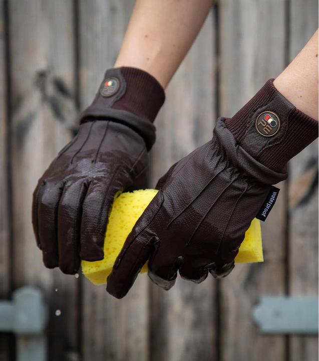 Actual product image Premier Equine Dajour (XL)