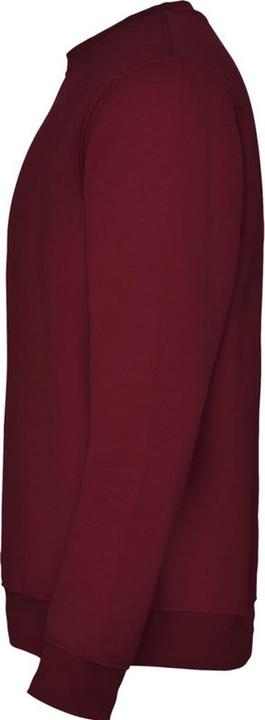 Actual product image Alpinia Unisex Adult Clasica Crew Neck Sweatshirt (XL)