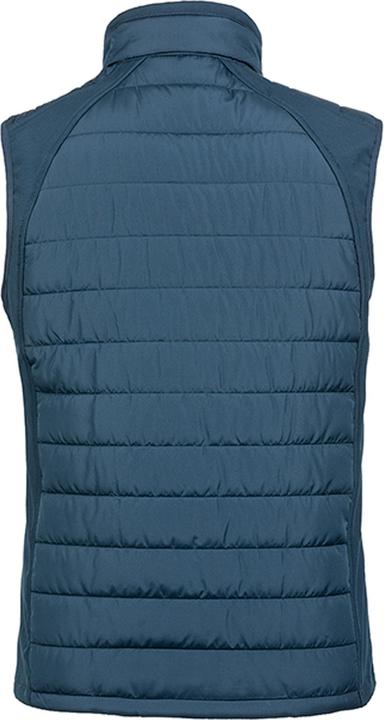 Image du produit Regatta Gilet Softshell Compass doublé (4XL)