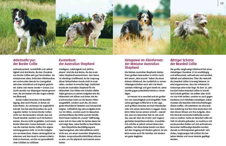 Immagine prodotto Spiele und Action für ausgeglichene Hütehunde (Tedesco, Marion Albers, 2023)