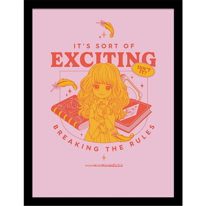 Image du produit - Poster encadré WITTY WITCHCRAFT BREAKING THE RULES (40 x 30 cm)