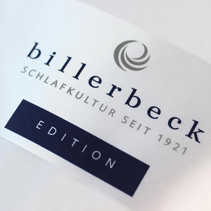 Produktbild Billerbeck Daunendecke E23 Inga Kassette II warm, Füllung: 90% Daunen, 10% Federn (768 g, 135x200 cm)